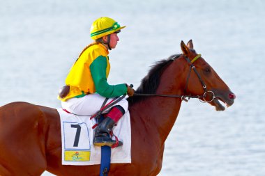 Horse race on Sanlucar of Barrameda, Spain, August 2011 clipart