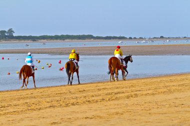 at yarışı sanlucar barrameda, İspanya, Ağustos 2011 tarihinde