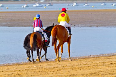 at yarışı sanlucar barrameda, İspanya, Ağustos 2011 tarihinde