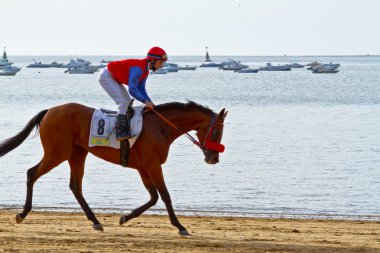 at yarışı sanlucar barrameda, İspanya, Ağustos 2011 tarihinde