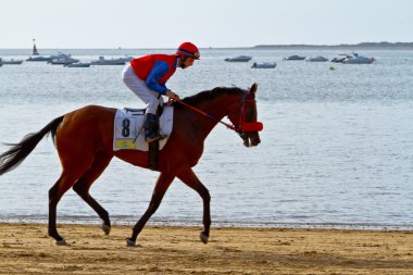 at yarışı sanlucar barrameda, İspanya, Ağustos 2011 tarihinde