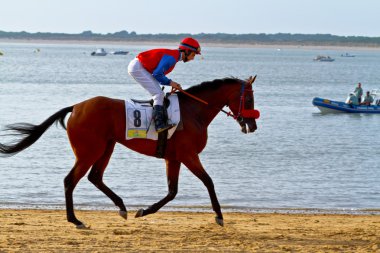 at yarışı sanlucar barrameda, İspanya, Ağustos 2011 tarihinde