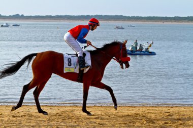 at yarışı sanlucar barrameda, İspanya, Ağustos 2011 tarihinde