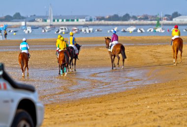 at yarışı sanlucar barrameda, İspanya, Ağustos 2011 tarihinde