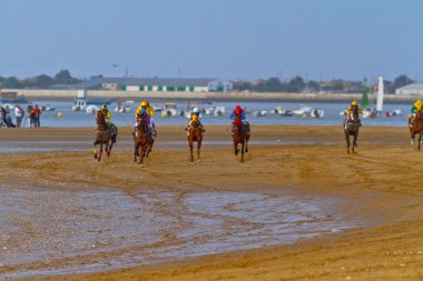 at yarışı sanlucar barrameda, İspanya, Ağustos 2011 tarihinde