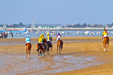 at yarışı sanlucar barrameda, İspanya, Ağustos 2011 tarihinde