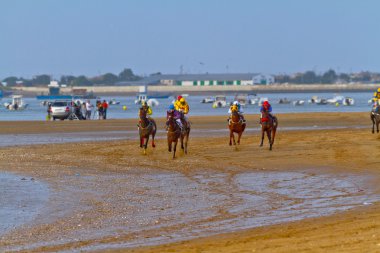 at yarışı sanlucar barrameda, İspanya, Ağustos 2011 tarihinde