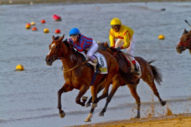 Horse race on Sanlucar of Barrameda, Spain, August 2011 clipart