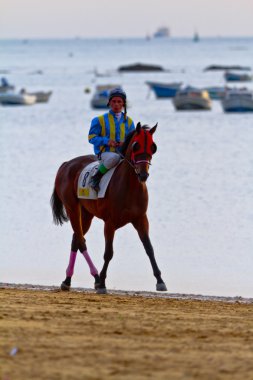 at yarışı sanlucar barrameda, İspanya, Ağustos 2011 tarihinde