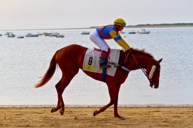 at yarışı sanlucar barrameda, İspanya, Ağustos 2011 tarihinde