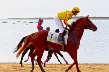 at yarışı sanlucar barrameda, İspanya, Ağustos 2011 tarihinde