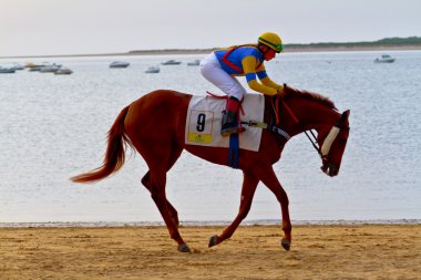 at yarışı sanlucar barrameda, İspanya, Ağustos 2011 tarihinde