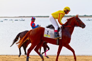 at yarışı sanlucar barrameda, İspanya, Ağustos 2011 tarihinde