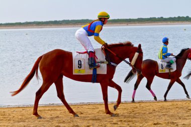 at yarışı sanlucar barrameda, İspanya, Ağustos 2011 tarihinde