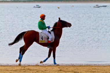 at yarışı sanlucar barrameda, İspanya, Ağustos 2011 tarihinde