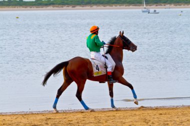 at yarışı sanlucar barrameda, İspanya, Ağustos 2011 tarihinde