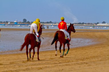 at yarışı sanlucar barrameda, İspanya, Ağustos 2011 tarihinde