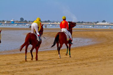 at yarışı sanlucar barrameda, İspanya, Ağustos 2011 tarihinde