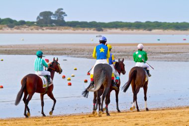 at yarışı sanlucar barrameda, İspanya, Ağustos 2011 tarihinde