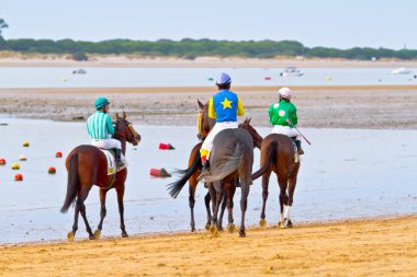 at yarışı sanlucar barrameda, İspanya, Ağustos 2011 tarihinde