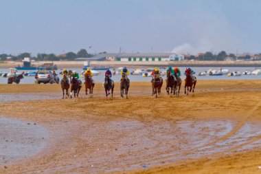 at yarışı sanlucar barrameda, İspanya, Ağustos 2011 tarihinde