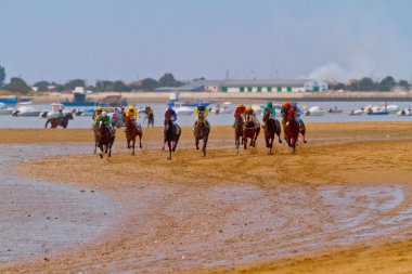 at yarışı sanlucar barrameda, İspanya, Ağustos 2011 tarihinde