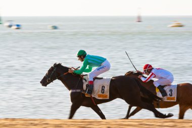 Horse race on Sanlucar of Barrameda, Spain, August 2008 clipart