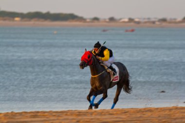 at yarışı sanlucar barrameda, İspanya, Ağustos 2008 tarihinde