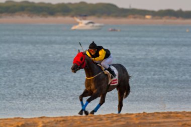 at yarışı sanlucar barrameda, İspanya, Ağustos 2008 tarihinde