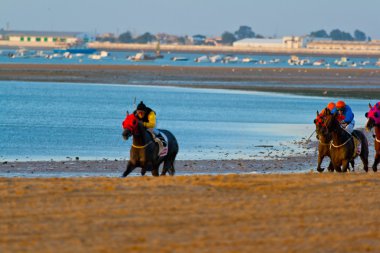 at yarışı sanlucar barrameda, İspanya, Ağustos 2008 tarihinde