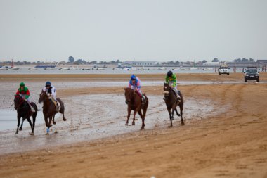 at yarışı sanlucar barrameda, İspanya, Ağustos 2010 tarihinde