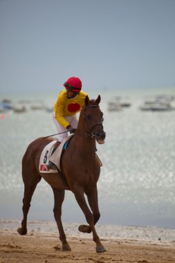 at yarışı sanlucar barrameda, İspanya, Ağustos 2010 tarihinde