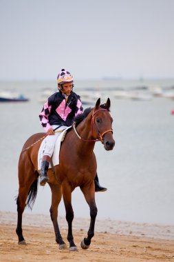 Horse race on Sanlucar of Barrameda, Spain, August 2010 clipart