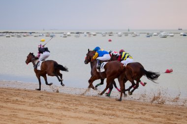 at yarışı sanlucar barrameda, İspanya, Ağustos 2010 tarihinde