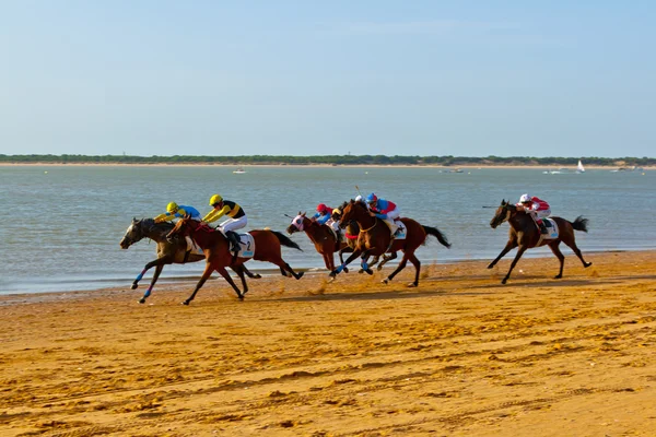 Hästkapplöpning på sanlucar barrameda, spain, augusti 2011 — Stockfoto