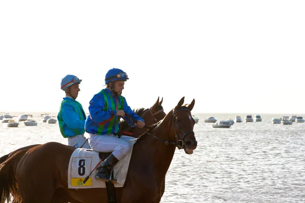 stock image Horse race on Sanlucar of Barrameda, Spain, August 2011