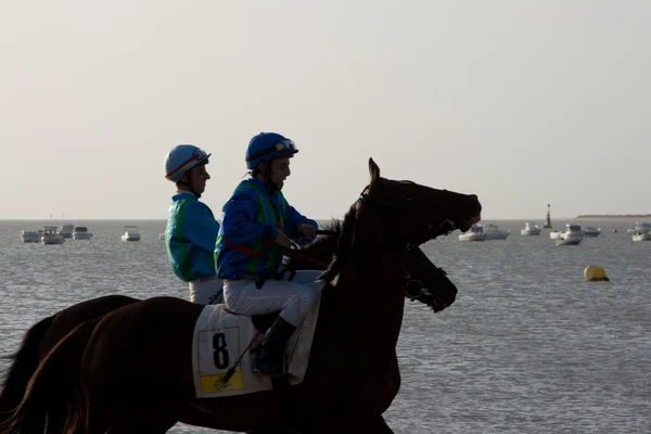 stock image Horse race on Sanlucar of Barrameda, Spain, August 2011