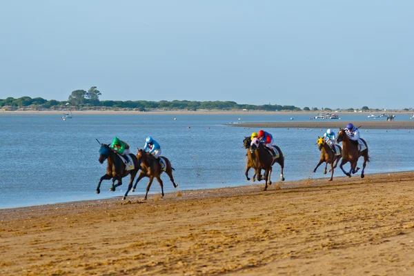 Course de chevaux sur Sanlucar de Barrameda, Espagne, août 2011 — Photo