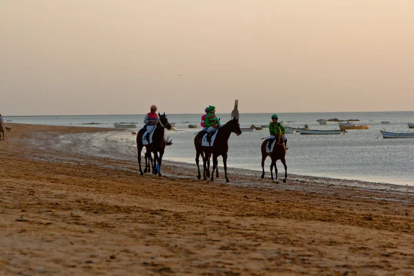 Corrida de cavalos em Sanlucar de Barrameda, Espanha, Agosto de 2011 — Fotografia de Stock