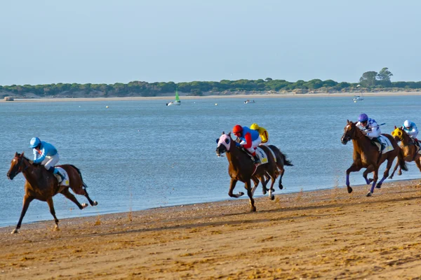 stock image Horse race on Sanlucar of Barrameda, Spain, August 2011