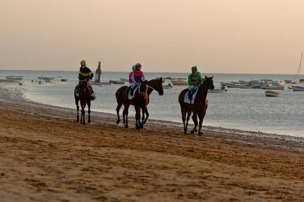 Corsa di cavalli a Sanlucar di Barrameda, Spagna, agosto 2011 — Foto Stock