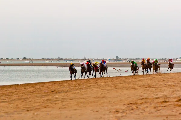 Barrameda, स्पेन के Sanlucar पर घोड़े की दौड़, अगस्त 2011 — स्टॉक फ़ोटो, इमेज