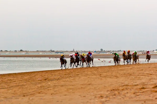 Pferderennen auf Sanlucar von Barrameda, Spanien, August 2011 — Stockfoto