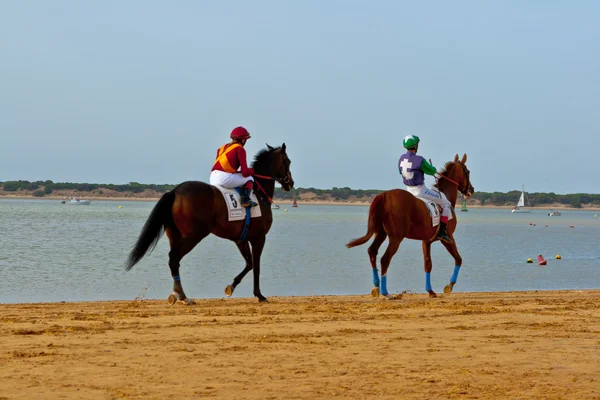At yarışı sanlucar barrameda, İspanya, Ağustos 2011 tarihinde — Stok fotoğraf