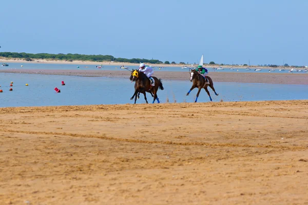 At yarışı sanlucar barrameda, İspanya, Ağustos 2011 tarihinde — Stok fotoğraf