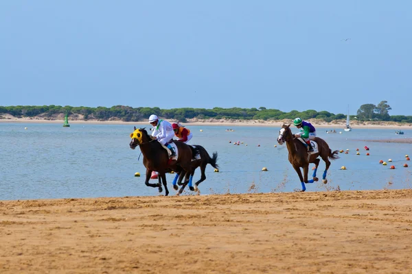 at yarışı sanlucar barrameda, İspanya, Ağustos 2011 tarihinde