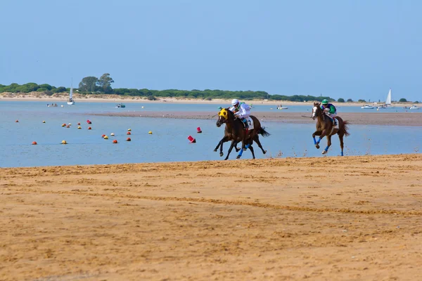 Carrera de caballos en Sanlúcar de Barrameda, España, agosto 2011 — Foto de Stock