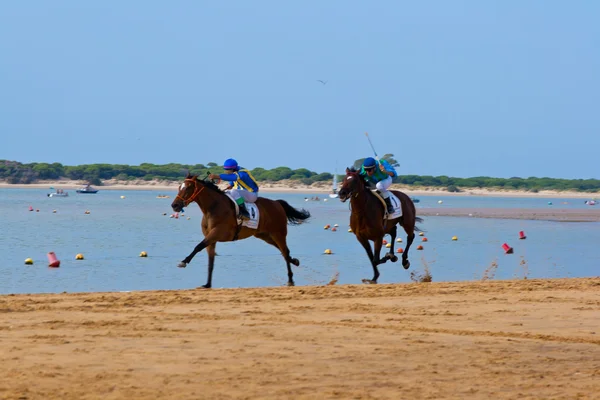Carrera de caballos en Sanlúcar de Barrameda, España, agosto 2011 —  Fotos de Stock