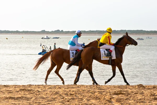 Corrida de cavalos em Sanlucar de Barrameda, Espanha, Agosto de 2011 — Fotografia de Stock