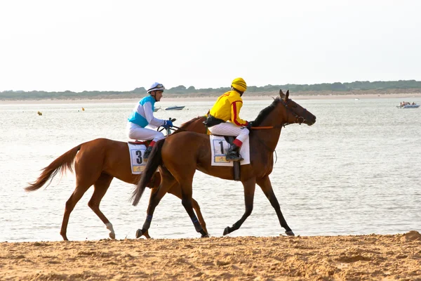 Коні гонки на Sanlucar Barrameda, Іспанія, серпень 2011 — стокове фото